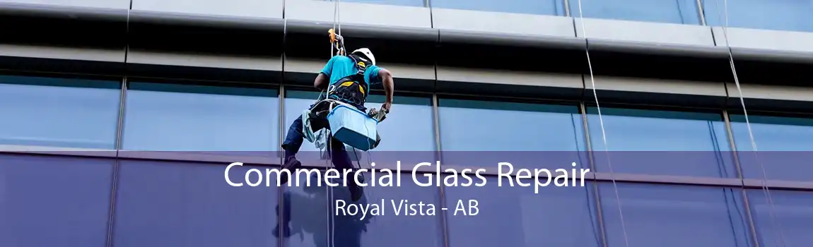 Commercial Glass Repair Royal Vista - AB