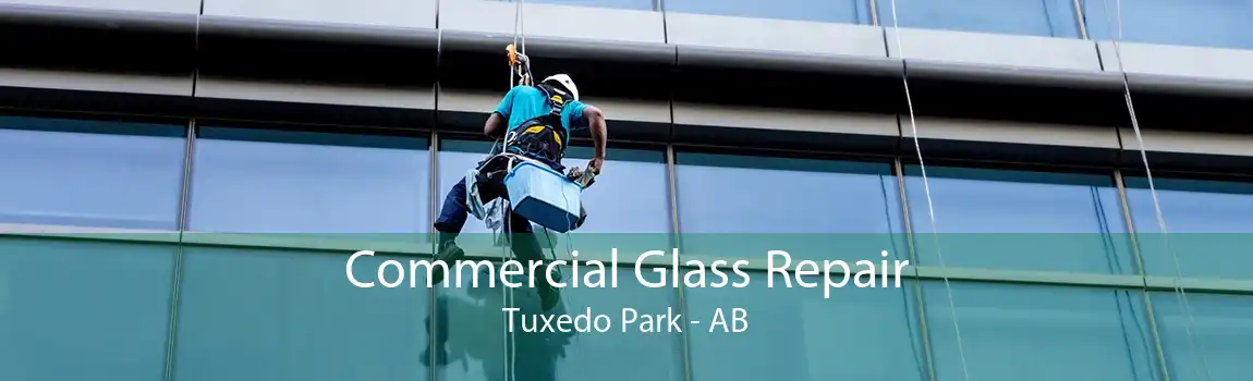Commercial Glass Repair Tuxedo Park - AB