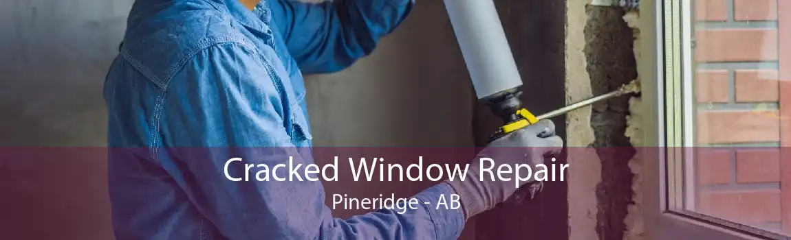 Cracked Window Repair Pineridge - AB