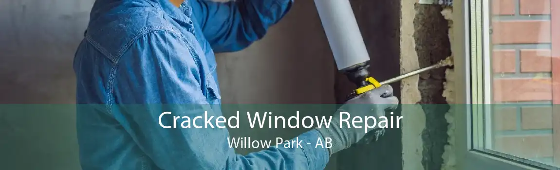 Cracked Window Repair Willow Park - AB