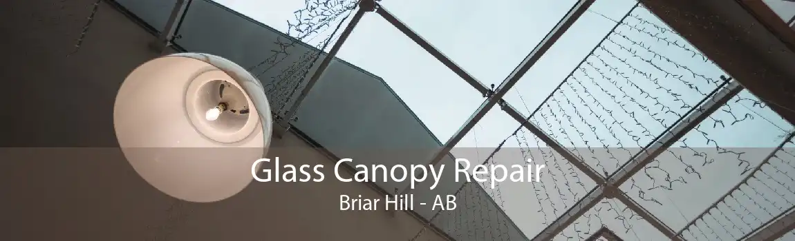 Glass Canopy Repair Briar Hill - AB