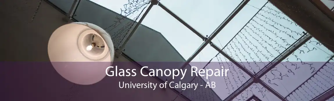 Glass Canopy Repair University of Calgary - AB
