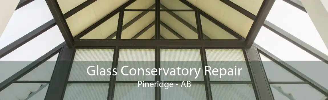 Glass Conservatory Repair Pineridge - AB