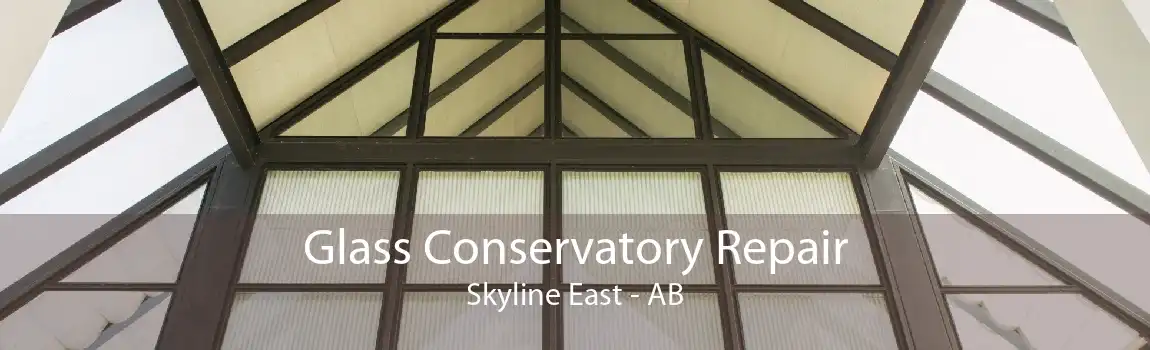 Glass Conservatory Repair Skyline East - AB