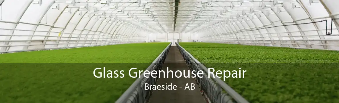 Glass Greenhouse Repair Braeside - AB