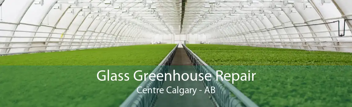 Glass Greenhouse Repair Centre Calgary - AB