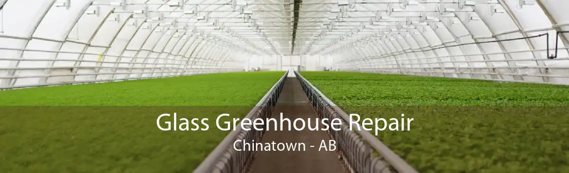 Glass Greenhouse Repair Chinatown - AB
