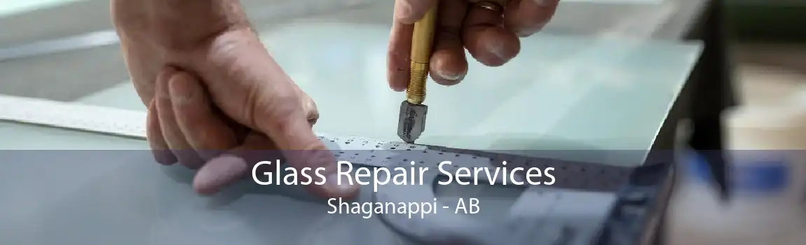 Glass Repair Services Shaganappi - AB