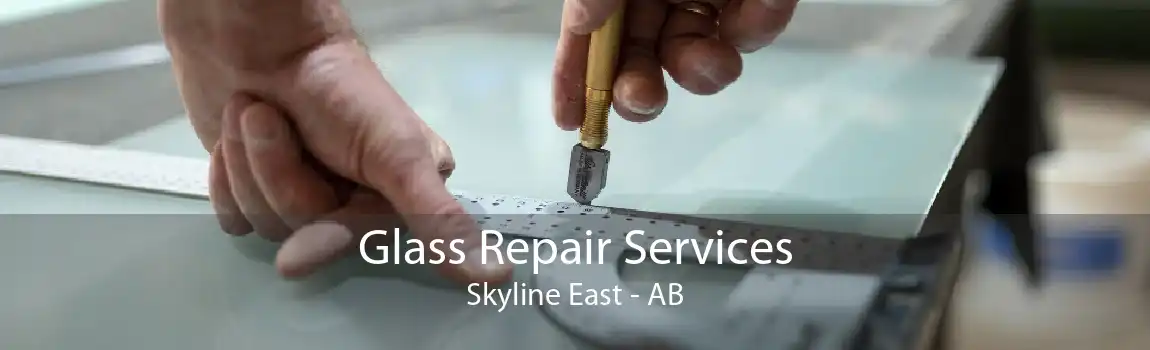 Glass Repair Services Skyline East - AB