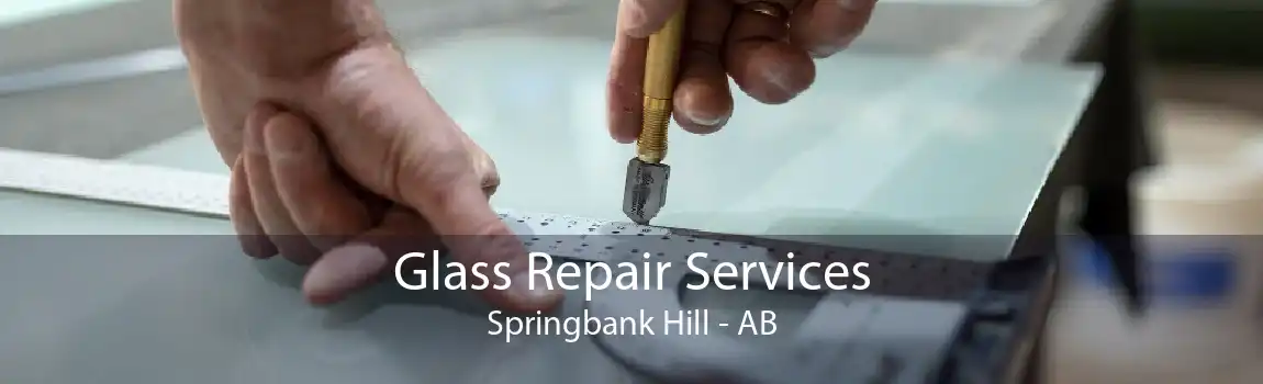 Glass Repair Services Springbank Hill - AB