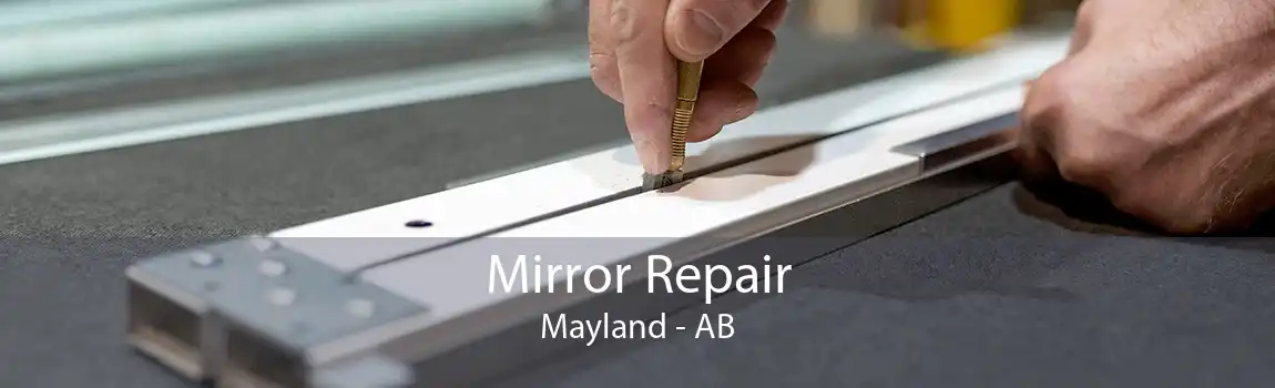 Mirror Repair Mayland - AB