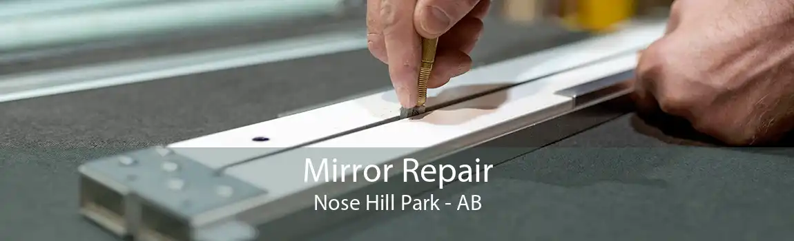 Mirror Repair Nose Hill Park - AB