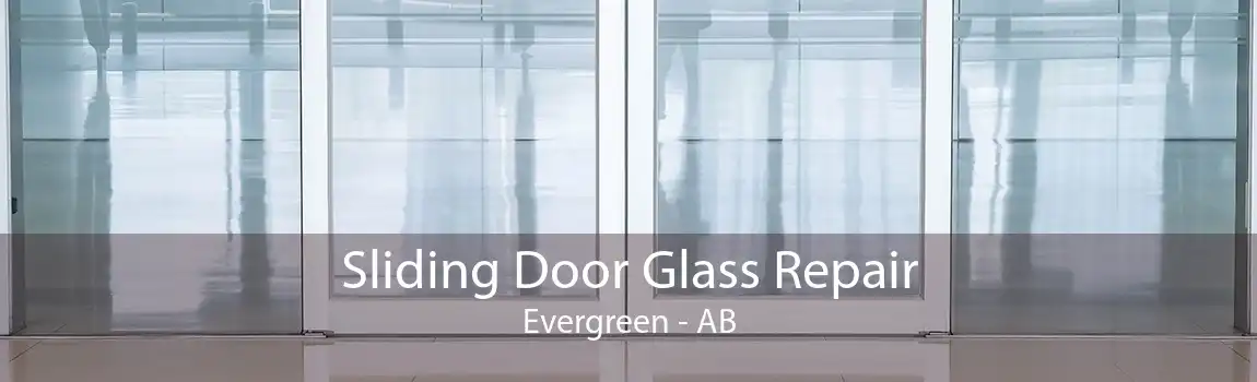 Sliding Door Glass Repair Evergreen - AB
