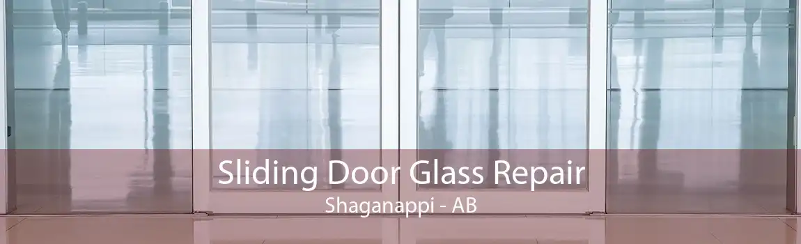Sliding Door Glass Repair Shaganappi - AB