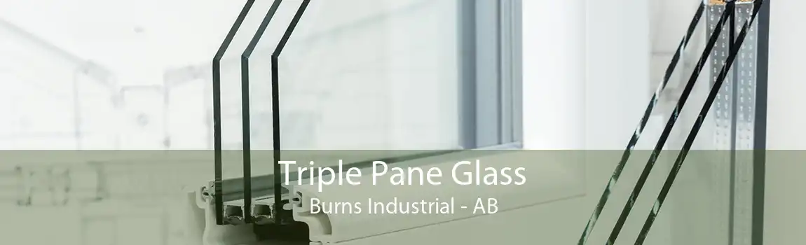 Triple Pane Glass Burns Industrial - AB