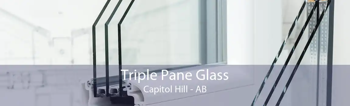 Triple Pane Glass Capitol Hill - AB