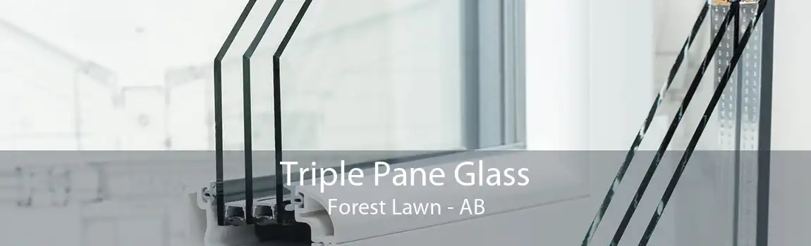 Triple Pane Glass Forest Lawn - AB