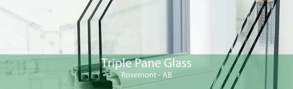 Triple Pane Glass Rosemont - AB