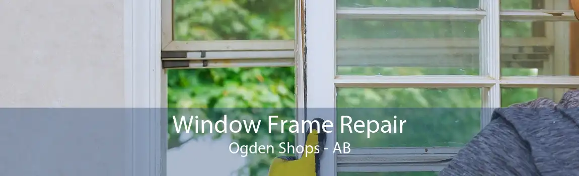 Window Frame Repair Ogden Shops - AB