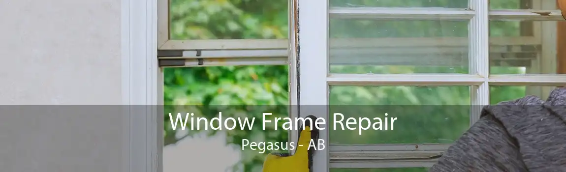 Window Frame Repair Pegasus - AB