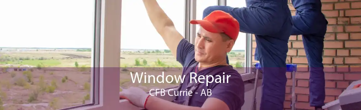 Window Repair CFB Currie - AB