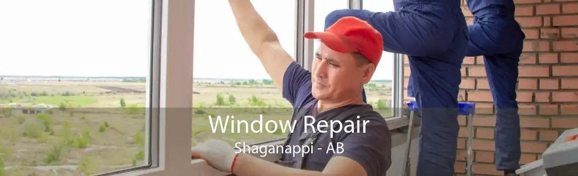 Window Repair Shaganappi - AB