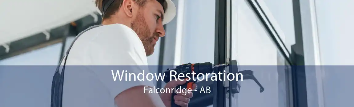 Window Restoration Falconridge - AB