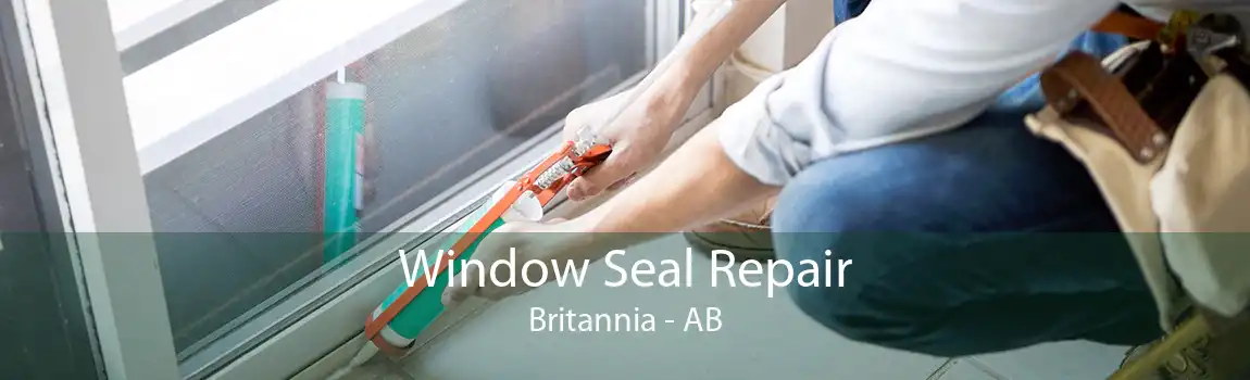Window Seal Repair Britannia - AB