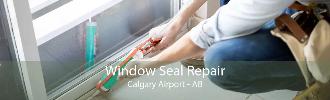 Window Seal Repair Calgary Airport - AB