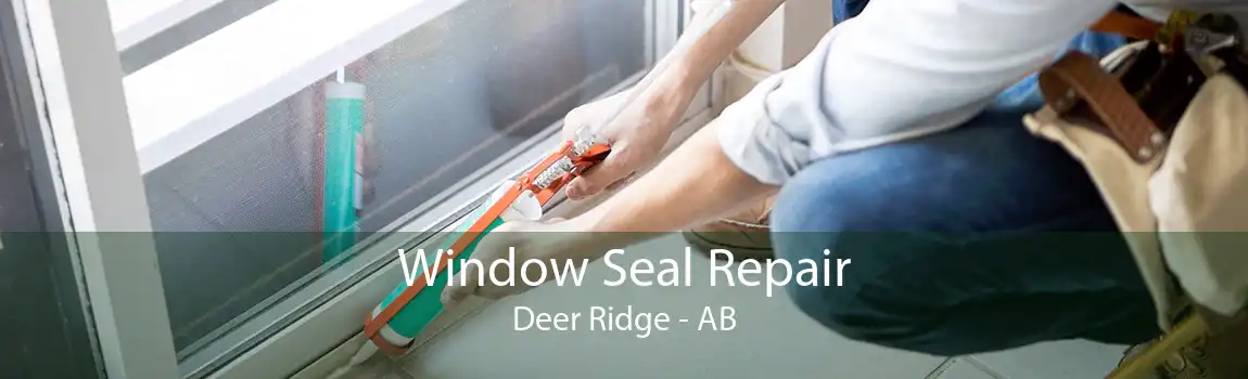 Window Seal Repair Deer Ridge - AB