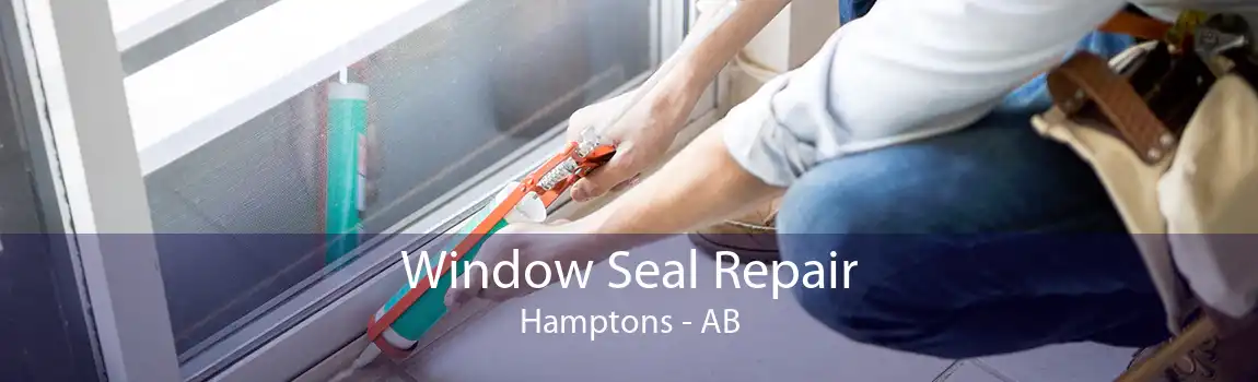 Window Seal Repair Hamptons - AB
