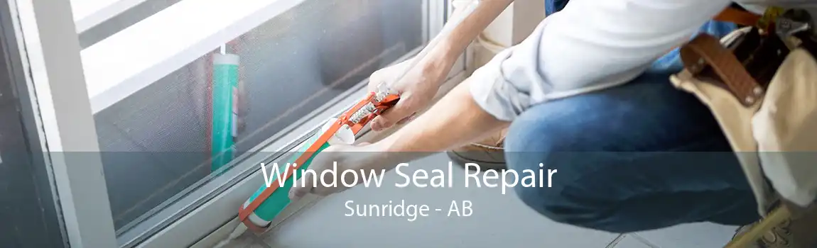 Window Seal Repair Sunridge - AB