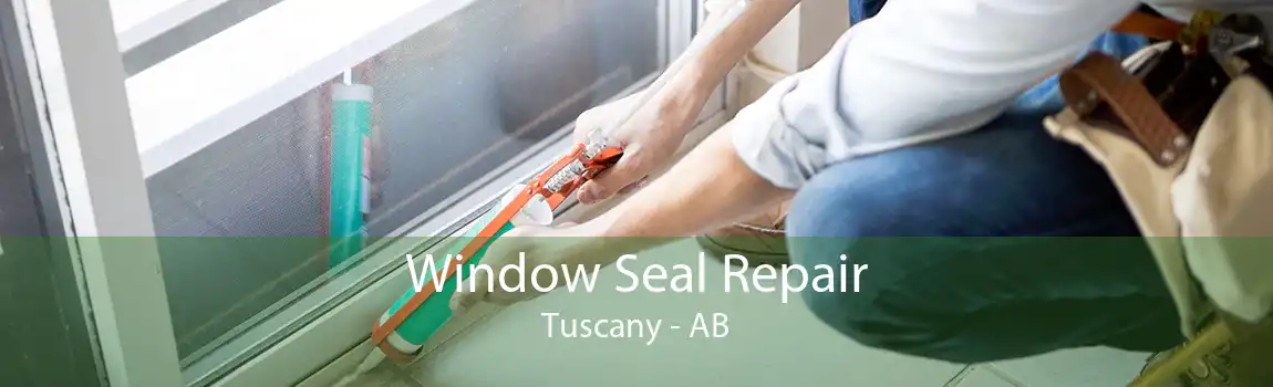 Window Seal Repair Tuscany - AB